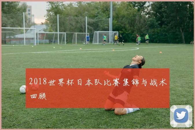 2018世界杯日本队比赛集锦与战术回顾