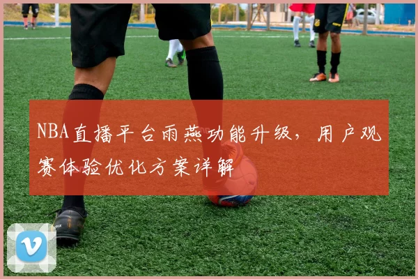 NBA直播平台雨燕功能升级，用户观赛体验优化方案详解