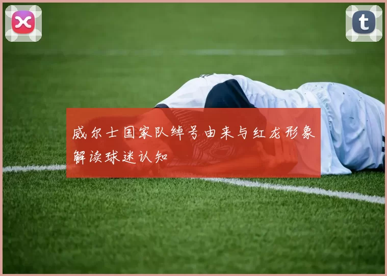 威尔士国家队绰号由来与红龙形象解读球迷认知