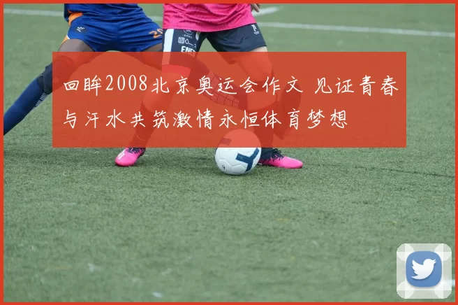 回眸2008北京奥运会作文 见证青春与汗水共筑激情永恒体育梦想