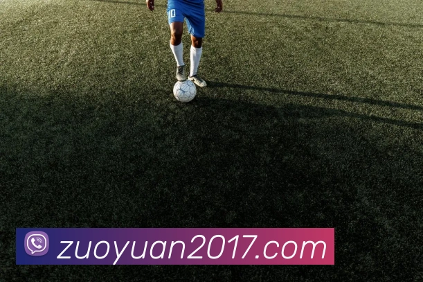 mksports官网登录平台生态图