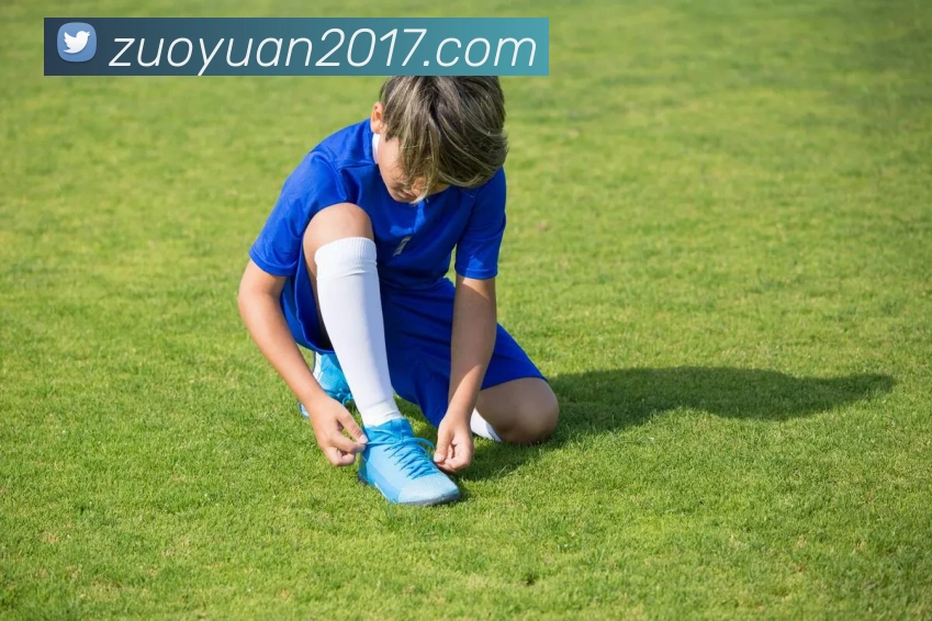 mksports官网登录APP 封面图